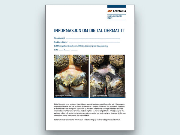 Informasjon om digital dermatitt